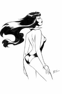 Bruce Timm art