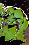 Savage Dragon Virgin Edition